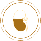 Illustration einer Katzenniere, die den Schritt der Früherkennung symbolisiert.