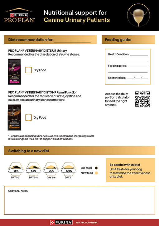 Take-away-Flyer für die Harnwegversorgung von Hunden