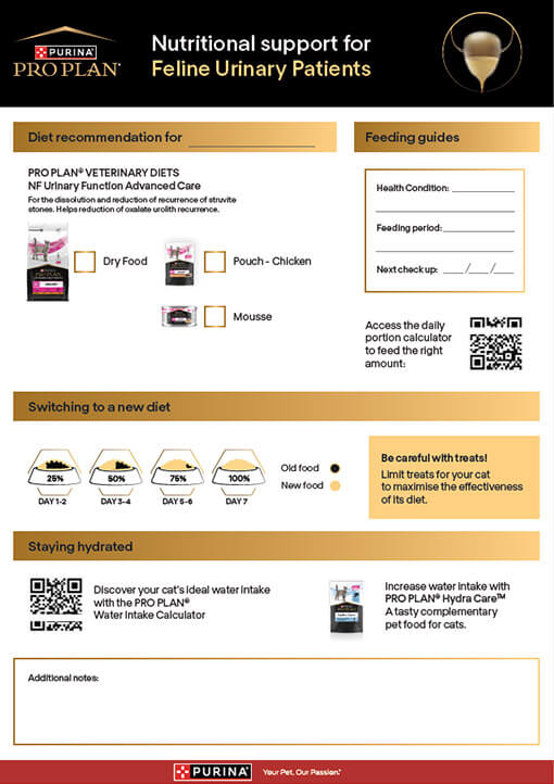 Take-away-Flyer für Katzen-Harnwegsversorgung