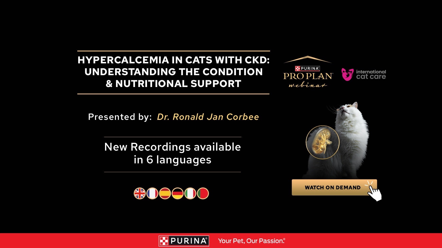 Recording available - Hypercalcemia in cats with CKD: Understanding the condition & nutritional support
