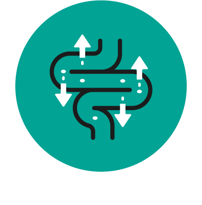 Easy To Digest