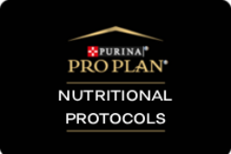 Pro Plan Nutritional Protocols Teaser