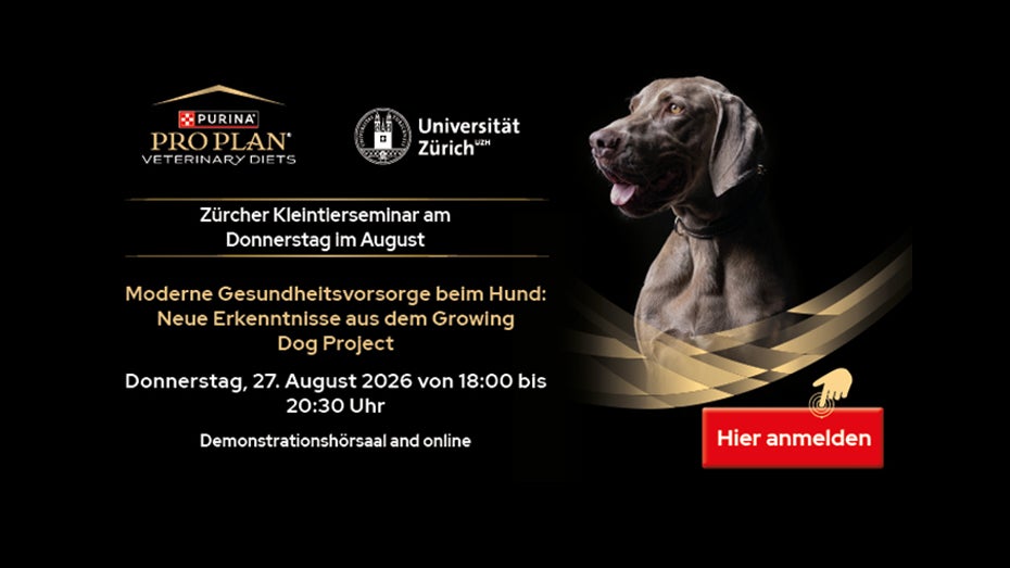 PPVD Seminar