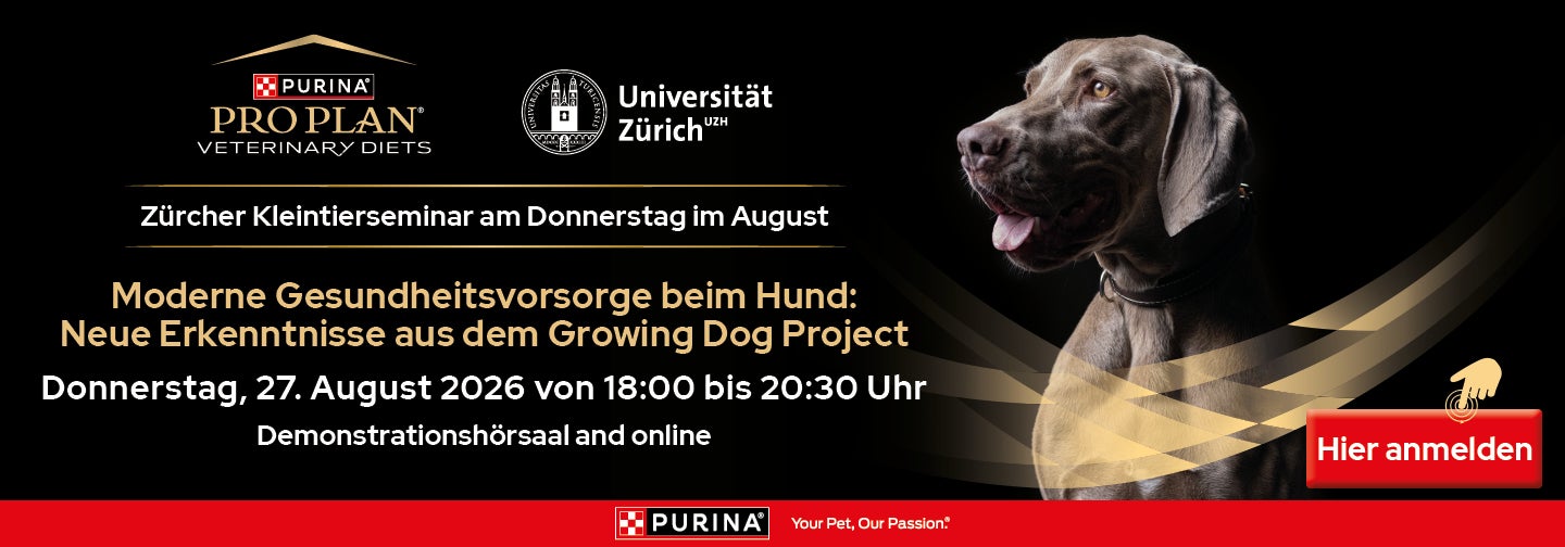 PPVD Seminar