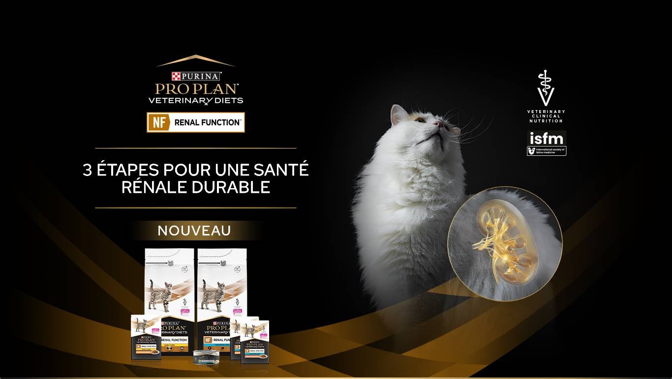 Bannière promotionnelle avec un chat blanc présentant les régimes vétérinaires Pro Plan disponibles pour la fonction rénale NF.