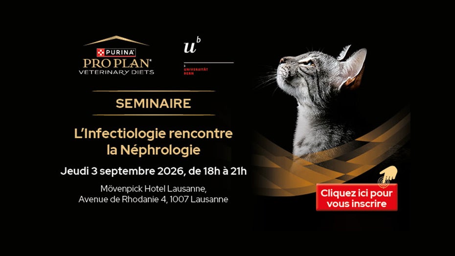 PPVD Seminaire