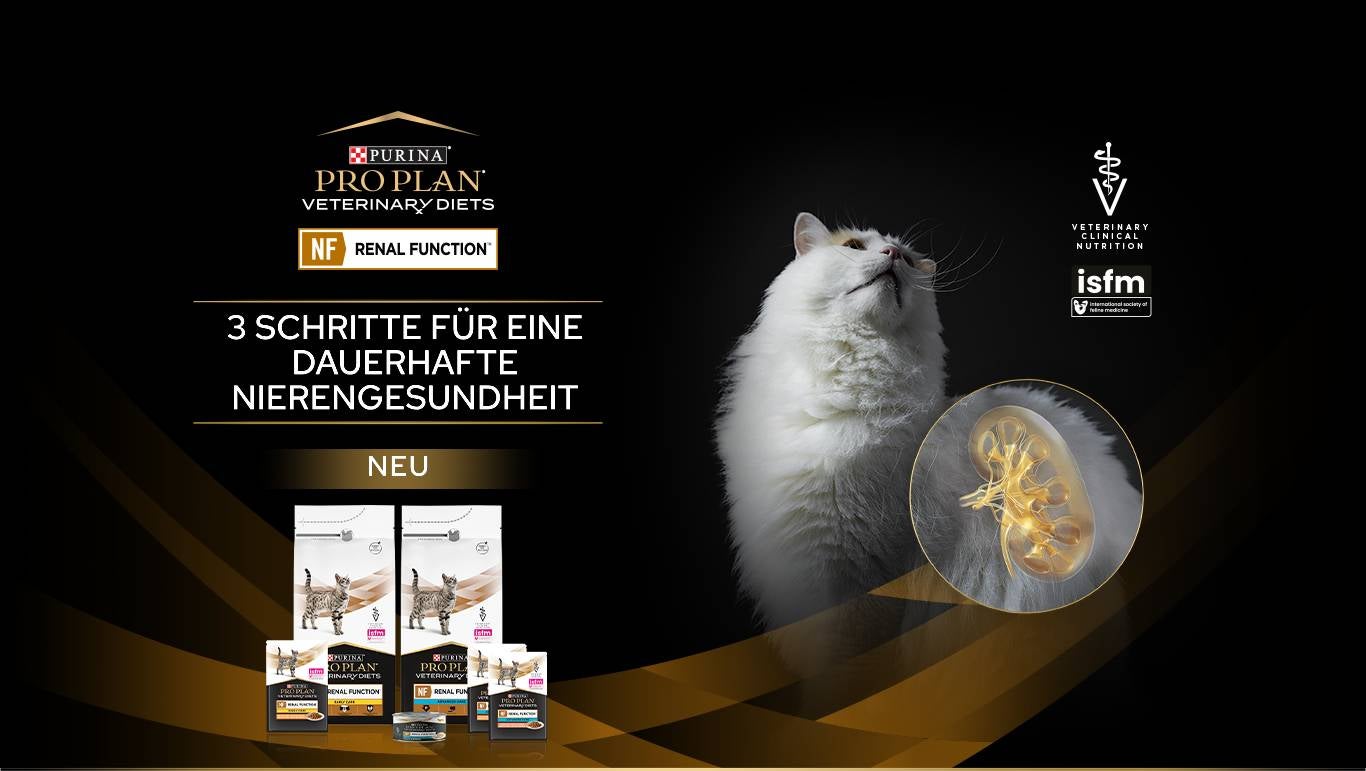 Werbebanner mit einer weißen Katze, die die verfügbaren Pro Plan Tierdiäten für NF Nierenfunktion zeigt.