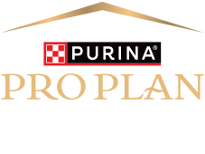 PP logo
