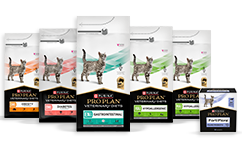 Feline Veterinary Diets