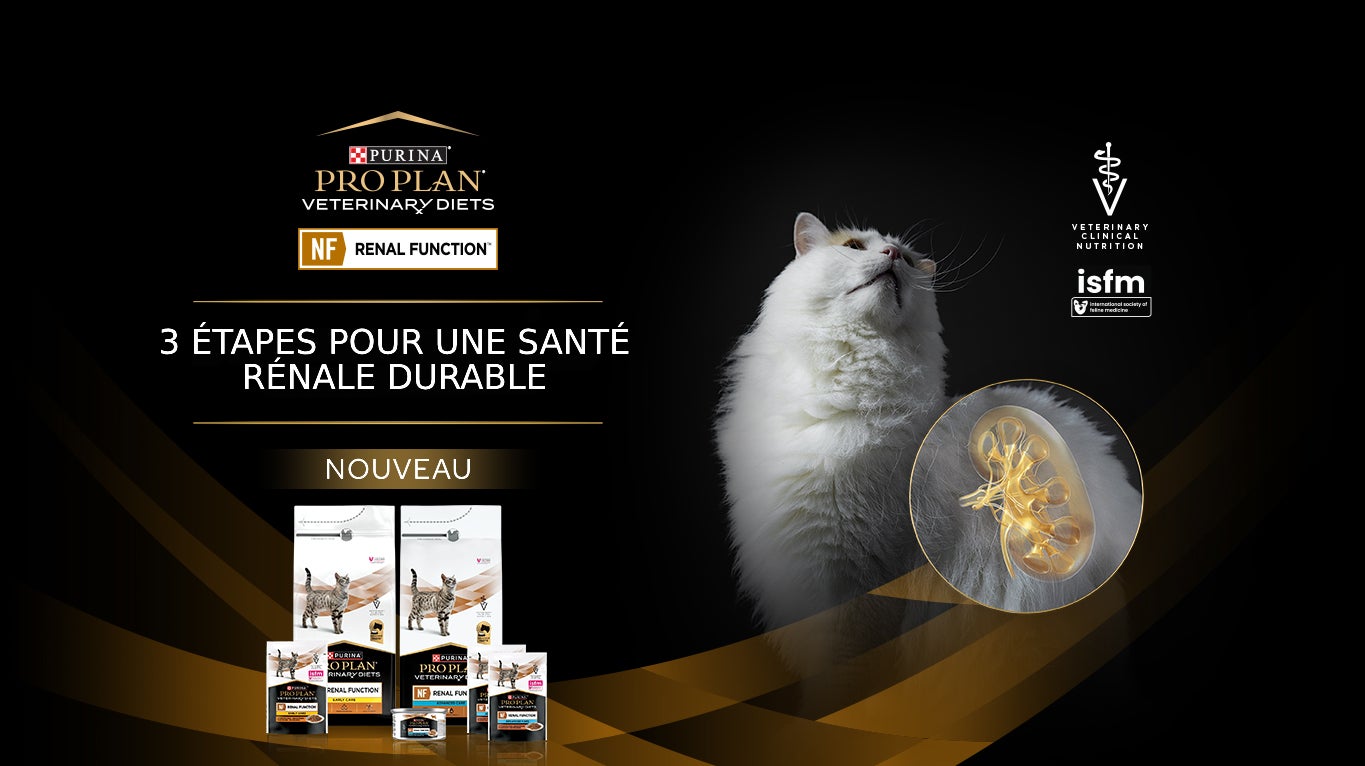 Produits PPVD NF Renal Function pour chats, avec un chat et une illustration de la santé rénale