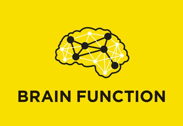 Brain function
