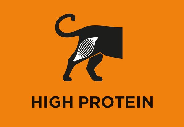 High protein level