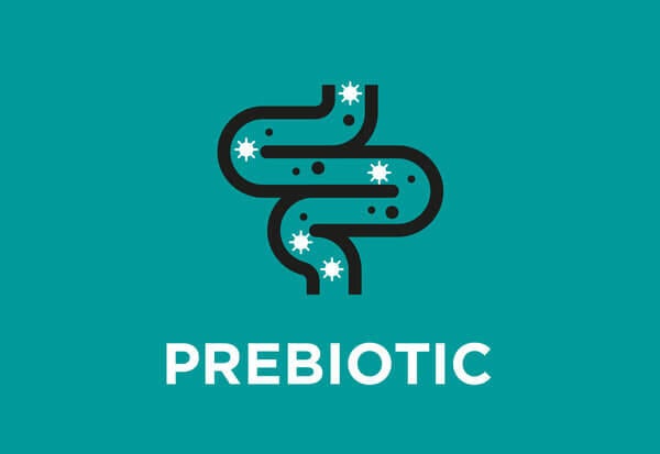 Zusatz von Präbiotika (Zichorien-Inulin)