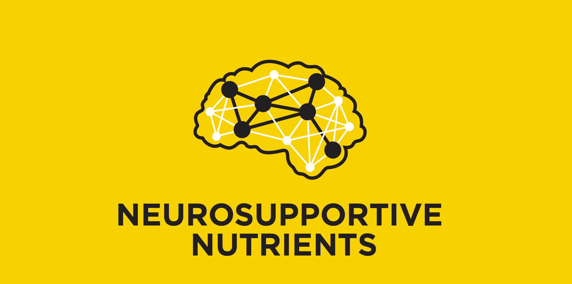 Neuroprotektive Nährstoffe