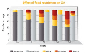 Evaluation of the effect of limited food consumption on radiographic evidence of osteoarthritis in dogs. header image