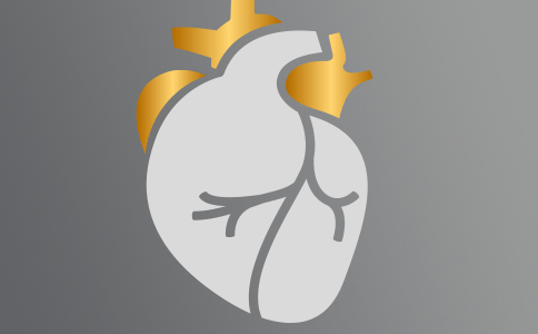 Kardiologie