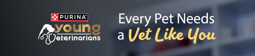 Welcome Young Veterinarians