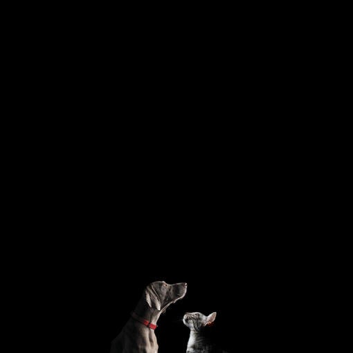 Purina® PRO PLAN® Symposium 2026