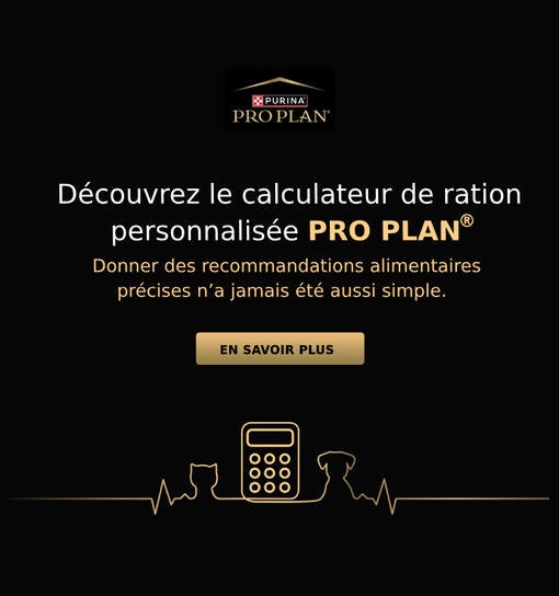 Découvrez le calculateur de ration personnalisée PRO PLAN®