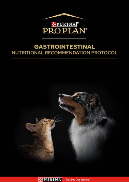 Gastrointestinal - Nutritional Recommendation Protocol